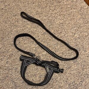 Black Dog Harness and Leash Set